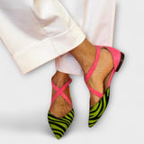 Zebra Musteriga Ballerinad